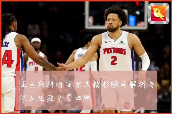亚当斯科特高尔夫精彩瞬间解析与职业生涯全景回顾