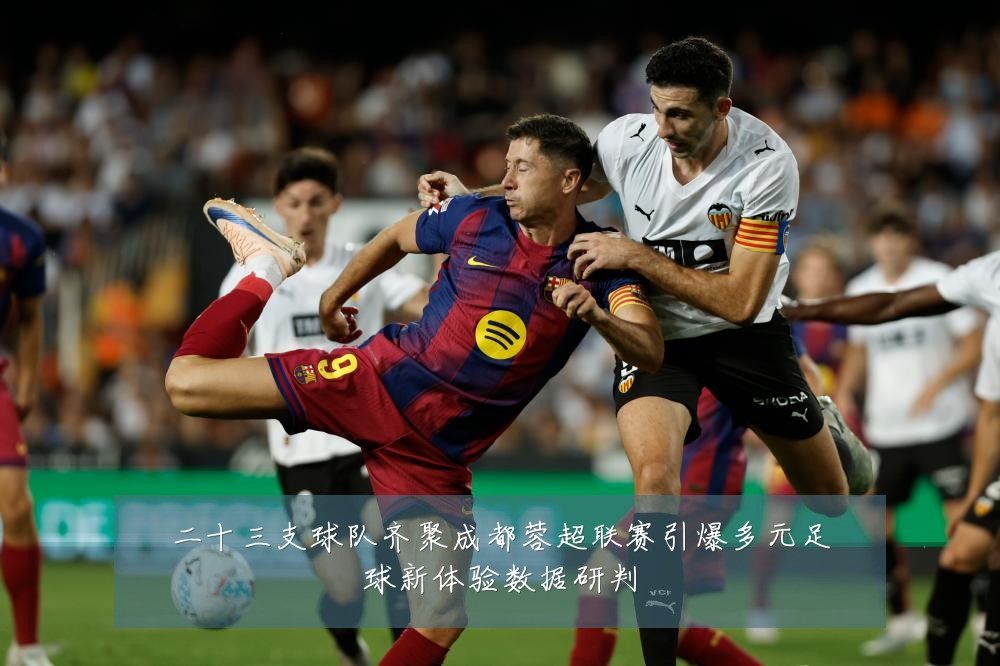 二十三支球队齐聚成都蓉超联赛引爆多元足球新体验数据研判